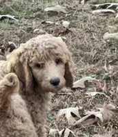 processed/409dd05e-0aa6-4e44-bedb-6e5847d7d1bd/listing/1b5807d8-b63d-4de1-aeb7-9781765882f8/2702bbc7-fee5-4273-8b40-ac13d3e35c9d