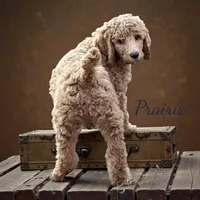 processed/409dd05e-0aa6-4e44-bedb-6e5847d7d1bd/listing/1b5807d8-b63d-4de1-aeb7-9781765882f8/8df09991-26c5-44fe-9c59-ff9a3fee4518