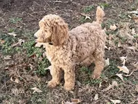 processed/409dd05e-0aa6-4e44-bedb-6e5847d7d1bd/listing/1b5807d8-b63d-4de1-aeb7-9781765882f8/e11c88a1-70f7-4ba8-a799-55996b4de134