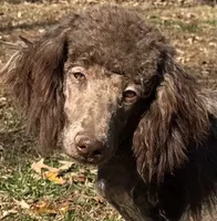 processed/409dd05e-0aa6-4e44-bedb-6e5847d7d1bd/listing/3528f507-3075-43a9-aece-8873479c5c7c/d56295f1-a148-4f29-94f4-06a10d59553e