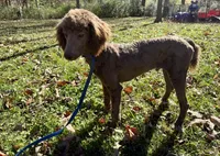 processed/409dd05e-0aa6-4e44-bedb-6e5847d7d1bd/listing/bb2473b3-31f5-48af-b152-8032ce568c58/71e0b3b4-0ca8-4b82-b343-728e7f55411e