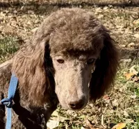 processed/409dd05e-0aa6-4e44-bedb-6e5847d7d1bd/listing/bb2473b3-31f5-48af-b152-8032ce568c58/f29f4334-c82c-4f62-b3b2-4bdc0c4d7adc