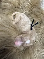 Strawberry , a female Poodle - Standard  for sale in Charlotte, NC – Photo 3 of 3