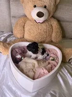 Khloé, a female Cockapoo for sale in Miami, FL – 3 of 10