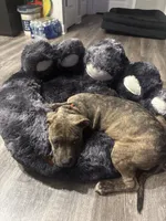 processed/40aa0c09-9cd2-4746-9e2b-35dae52d3410/listing/548a674d-9be0-4b2d-8b5f-68fa4f5744a3/5088ec19-7cbd-47d0-84d7-348f466d53da