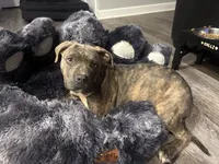 processed/40aa0c09-9cd2-4746-9e2b-35dae52d3410/listing/548a674d-9be0-4b2d-8b5f-68fa4f5744a3/c6adb6dd-6652-451d-880a-b765e71b68ae