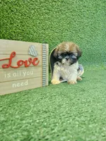 processed/40ac84c8-04ff-4f7b-99e0-cbcadcfe67d3/facility/c96ae24d-f493-4484-a8eb-c6df2fd86703