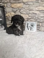 processed/40ac84c8-04ff-4f7b-99e0-cbcadcfe67d3/listing/45ddb332-267d-47aa-9b2a-84c6906e8b29/18978228-61a4-4432-923e-8f5c8fddaea6