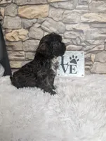 processed/40ac84c8-04ff-4f7b-99e0-cbcadcfe67d3/listing/45ddb332-267d-47aa-9b2a-84c6906e8b29/2c0ec783-e756-4ec0-b3ee-6de23aee0225