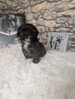 processed/40ac84c8-04ff-4f7b-99e0-cbcadcfe67d3/listing/45ddb332-267d-47aa-9b2a-84c6906e8b29/9fd8a0b5-bd55-405e-a9b4-17da1db5da8a