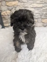 processed/40ac84c8-04ff-4f7b-99e0-cbcadcfe67d3/listing/45ddb332-267d-47aa-9b2a-84c6906e8b29/a27d2116-87a9-4d9a-b58a-dac827dc8302