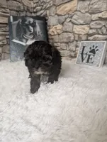 processed/40ac84c8-04ff-4f7b-99e0-cbcadcfe67d3/listing/45ddb332-267d-47aa-9b2a-84c6906e8b29/a4e7d6b1-3edf-4fe3-83c9-ee8b8574a054