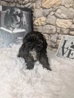 processed/40ac84c8-04ff-4f7b-99e0-cbcadcfe67d3/listing/45ddb332-267d-47aa-9b2a-84c6906e8b29/b88f2457-f5f8-47c0-8d7d-6379058b8bd6