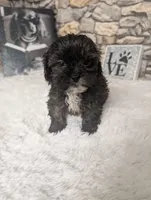 processed/40ac84c8-04ff-4f7b-99e0-cbcadcfe67d3/listing/45ddb332-267d-47aa-9b2a-84c6906e8b29/ed705a3e-4986-4727-a860-3020862a19ac