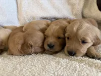 processed/40b5dffd-09ad-4375-8732-d7c01f7f38fe/facility/13f0e4bc-251e-49f5-8f6f-68620a3213c7