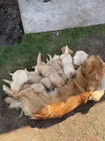 processed/40b5dffd-09ad-4375-8732-d7c01f7f38fe/facility/aceb8606-fbd2-4066-9cad-6933cd233d00