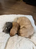 processed/40b5dffd-09ad-4375-8732-d7c01f7f38fe/facility/b0a481b1-af76-4666-af78-f65715a8f267