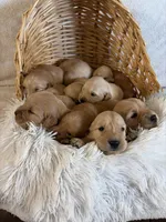 processed/40b5dffd-09ad-4375-8732-d7c01f7f38fe/facility/f7e93e93-5865-4253-aa91-68ab515489bd