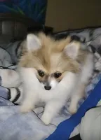 processed/40b5ed1c-7d99-4dd6-8420-7596ff9058ca/listing/d7a6b3b2-dc49-4438-b790-1569d461599d/dde71ef6-5f10-4ed3-a3bd-974028cefa2e