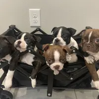 Facility photo