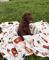AKC Purple, a female Labrador Retriever for sale in Fort Myers, FL – 1 of 4