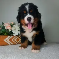 processed/40ca26c8-298f-4ff3-894e-4ad29257b88c/facility/031c6b1b-0ea8-4754-b853-6a6c3f8e5aef