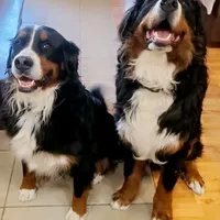 processed/40ca26c8-298f-4ff3-894e-4ad29257b88c/facility/0f690b95-84cd-4c85-8f4a-3dcdb57b8859