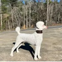 processed/40ca26c8-298f-4ff3-894e-4ad29257b88c/facility/43271d6f-2e4f-4efb-b5f2-a06f76661718