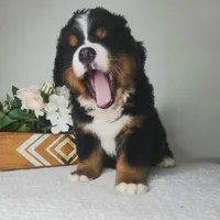 processed/40ca26c8-298f-4ff3-894e-4ad29257b88c/facility/55949a92-3029-475f-8fcb-380f1396e0c5