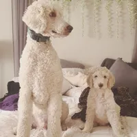 processed/40ca26c8-298f-4ff3-894e-4ad29257b88c/facility/6c958eed-e1b2-42a0-a020-8cdc34279c20