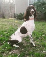 processed/40ca26c8-298f-4ff3-894e-4ad29257b88c/listing/0267ba5d-be21-40ed-9eaa-4ac33b30fa2e/3c345d16-9e21-4f3d-a340-834f194c10de