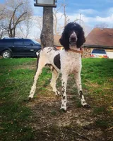 processed/40ca26c8-298f-4ff3-894e-4ad29257b88c/listing/0267ba5d-be21-40ed-9eaa-4ac33b30fa2e/41170fb3-cb4e-405d-a210-ceb5f3a8eba4