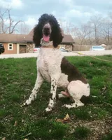 processed/40ca26c8-298f-4ff3-894e-4ad29257b88c/listing/0267ba5d-be21-40ed-9eaa-4ac33b30fa2e/57935982-01dd-4e3e-a914-cafe31f4439c