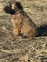 processed/40cf00a1-9683-406c-a1b1-1614f6c58ebf/listing/45166c32-0164-4c37-9ef6-58757f849d2a/480e6930-867d-49c9-94ce-72fa2210d0d4