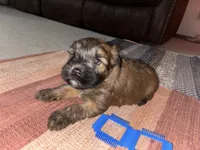 processed/40cf00a1-9683-406c-a1b1-1614f6c58ebf/listing/45166c32-0164-4c37-9ef6-58757f849d2a/4a33859e-0694-4f15-8a3c-7ac8d4933dd1