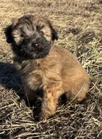 processed/40cf00a1-9683-406c-a1b1-1614f6c58ebf/listing/45166c32-0164-4c37-9ef6-58757f849d2a/66c842f2-8580-4b75-add6-d16a2a6cb6f2