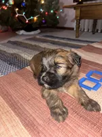 processed/40cf00a1-9683-406c-a1b1-1614f6c58ebf/listing/45166c32-0164-4c37-9ef6-58757f849d2a/a56d565f-2cd0-43bd-8a08-99bfef630387