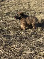 processed/40cf00a1-9683-406c-a1b1-1614f6c58ebf/listing/45166c32-0164-4c37-9ef6-58757f849d2a/b853eed6-d89e-4528-a81b-7b3c9c2f3094