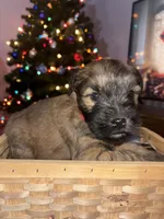 processed/40cf00a1-9683-406c-a1b1-1614f6c58ebf/listing/5c9a6173-2561-4326-adb4-3eb78abbb158/489a345d-1c02-4c6a-b552-0bfe45639038