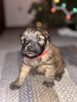 processed/40cf00a1-9683-406c-a1b1-1614f6c58ebf/listing/5c9a6173-2561-4326-adb4-3eb78abbb158/4dcfd329-65b8-4474-90a3-4e202f715f80