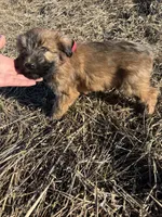 processed/40cf00a1-9683-406c-a1b1-1614f6c58ebf/listing/5c9a6173-2561-4326-adb4-3eb78abbb158/8fe504be-1b59-4915-921d-02f741b5bb84