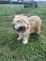 processed/40cf00a1-9683-406c-a1b1-1614f6c58ebf/listing/6b5dd12c-0266-4d41-91d3-d8ceb1929c79/03dc5487-1b85-49c9-b8c5-61ed78d5c0aa