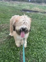 processed/40cf00a1-9683-406c-a1b1-1614f6c58ebf/listing/6b5dd12c-0266-4d41-91d3-d8ceb1929c79/4b9d59b0-0e35-4cc3-a579-9162f936c25c