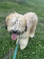 processed/40cf00a1-9683-406c-a1b1-1614f6c58ebf/listing/6b5dd12c-0266-4d41-91d3-d8ceb1929c79/848aa660-de91-4904-a562-03baeb927d05