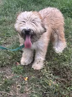 processed/40cf00a1-9683-406c-a1b1-1614f6c58ebf/listing/6b5dd12c-0266-4d41-91d3-d8ceb1929c79/d2c27081-f2c6-430a-917a-607984252b78