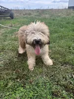 processed/40cf00a1-9683-406c-a1b1-1614f6c58ebf/listing/6b5dd12c-0266-4d41-91d3-d8ceb1929c79/d3625286-76eb-4679-b5e3-84a03986d336