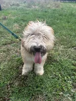 processed/40cf00a1-9683-406c-a1b1-1614f6c58ebf/listing/6b5dd12c-0266-4d41-91d3-d8ceb1929c79/d71333d5-d6b8-487e-99b6-2a4fbb0f79b8