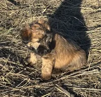 processed/40cf00a1-9683-406c-a1b1-1614f6c58ebf/listing/998bf458-4aeb-48ee-8542-5f1fdf5238cf/0ca0c7c1-98c8-4ca1-9063-d2d51cb462fe