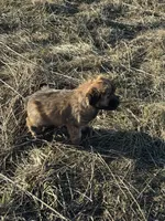 processed/40cf00a1-9683-406c-a1b1-1614f6c58ebf/listing/998bf458-4aeb-48ee-8542-5f1fdf5238cf/330d3c9a-3a6c-47bb-8b36-a5e24eb26e49