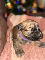 processed/40cf00a1-9683-406c-a1b1-1614f6c58ebf/listing/998bf458-4aeb-48ee-8542-5f1fdf5238cf/52642d79-f440-4da2-b23d-17a12a7f6c21